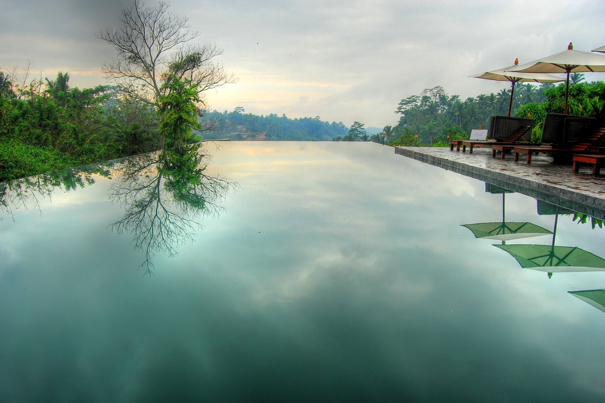 An infinity pool overlooking the Bali jungle